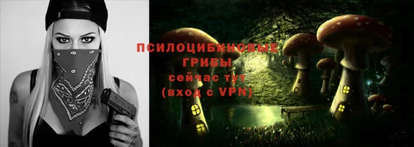 меф Кинешма