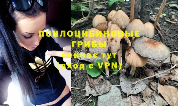 меф Кинешма