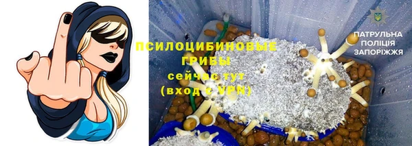 ГАЛЛЮЦИНОГЕННЫЕ ГРИБЫ Киренск