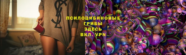 ГАЛЛЮЦИНОГЕННЫЕ ГРИБЫ Киренск