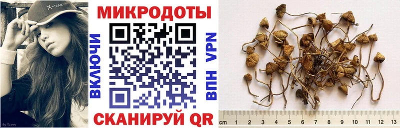 цены   Кудымкар  Псилоцибиновые грибы Psilocybe 