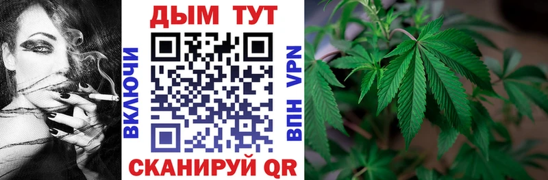 Каннабис SATIVA & INDICA Кудымкар